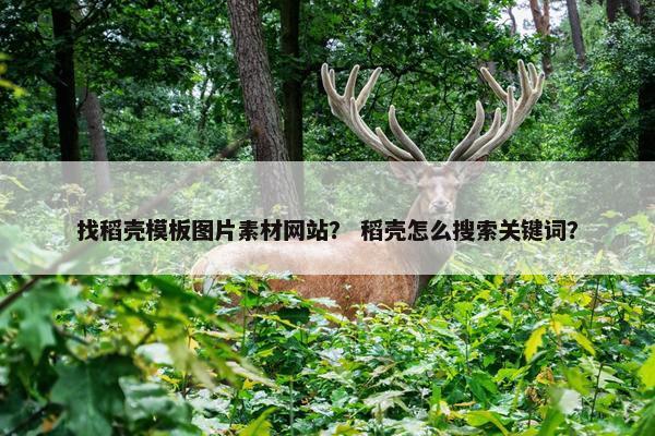 找稻壳模板图片素材网站？ 稻壳怎么搜索关键词？
