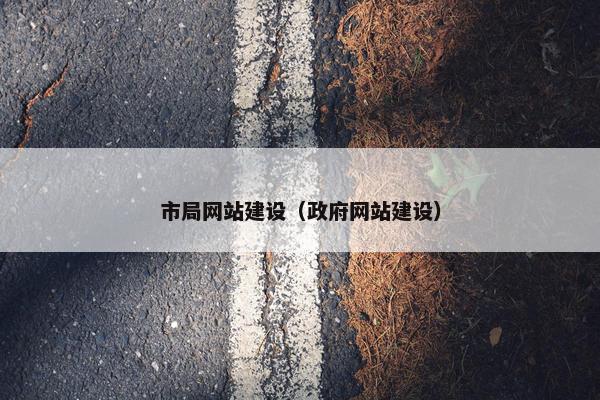 市局网站建设（政府网站建设）
