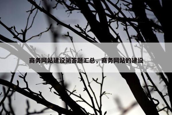 商务网站建设简答题汇总，商务网站的建设