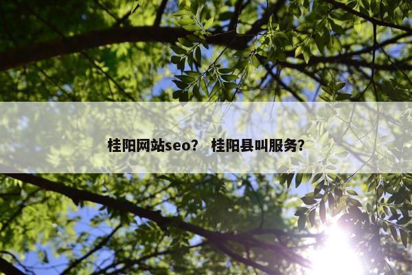 桂阳网站seo？ 桂阳县叫服务？