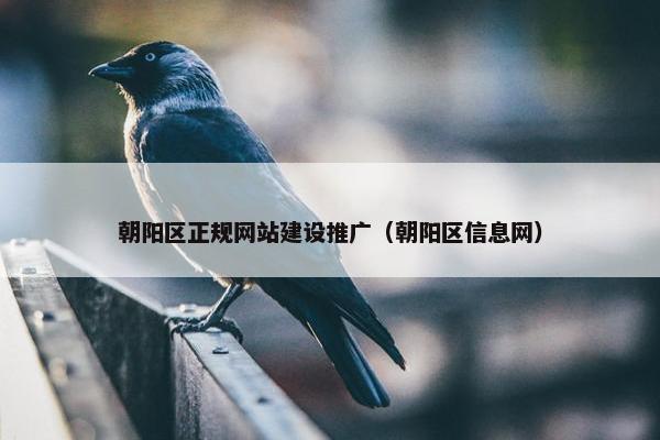 朝阳区正规网站建设推广（朝阳区信息网）