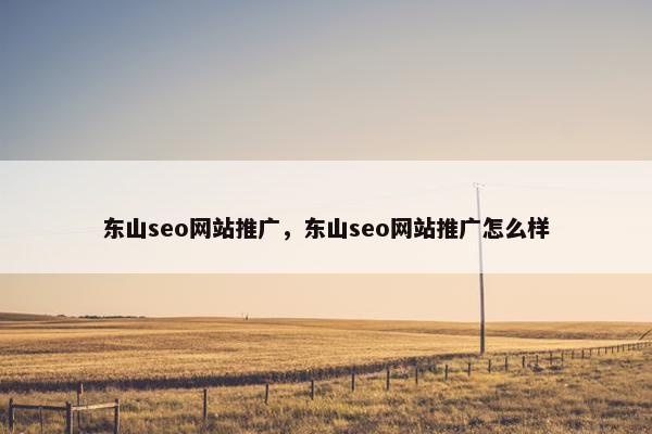 东山seo网站推广，东山seo网站推广怎么样