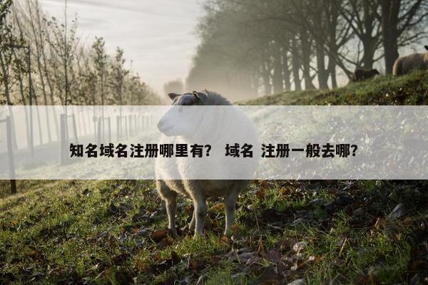 知名域名注册哪里有？ 域名 注册一般去哪？