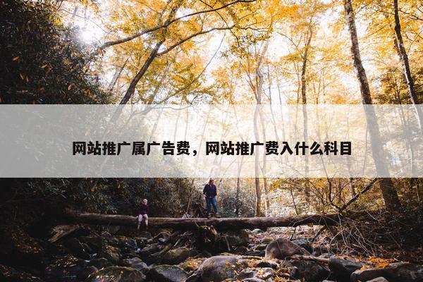 网站推广属广告费，网站推广费入什么科目