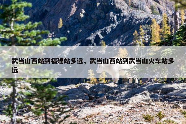 武当山西站到福建站多远，武当山西站到武当山火车站多远