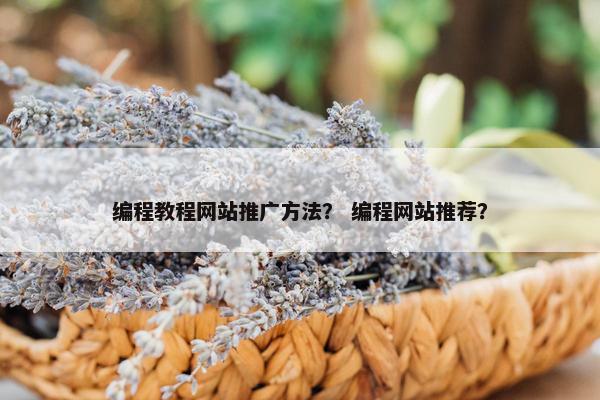 编程教程网站推广方法？ 编程网站推荐？