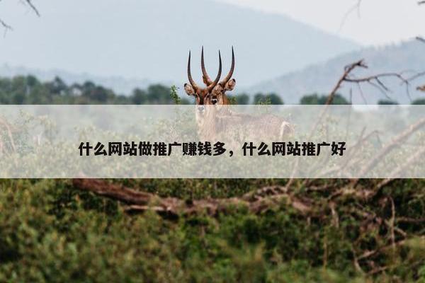 什么网站做推广赚钱多，什么网站推广好