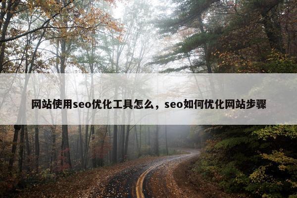 网站使用seo优化工具怎么，seo如何优化网站步骤