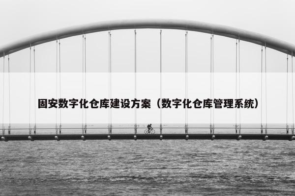 固安数字化仓库建设方案（数字化仓库管理系统）