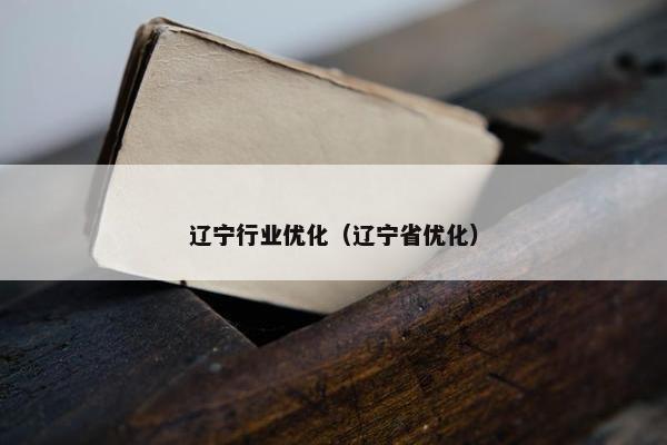 辽宁行业优化（辽宁省优化）