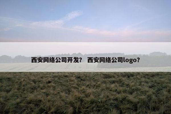 西安网络公司开发？ 西安网络公司logo？