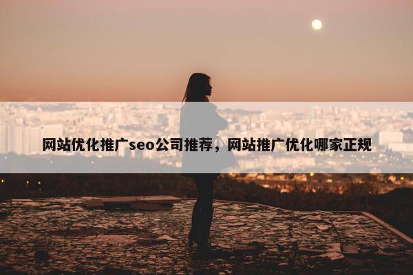 网站优化推广seo公司推荐，网站推广优化哪家正规