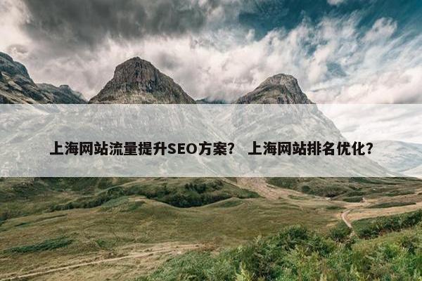 上海网站流量提升SEO方案？ 上海网站排名优化？