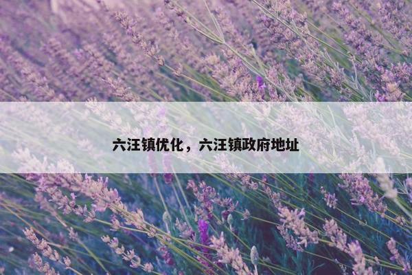 六汪镇优化，六汪镇政府地址