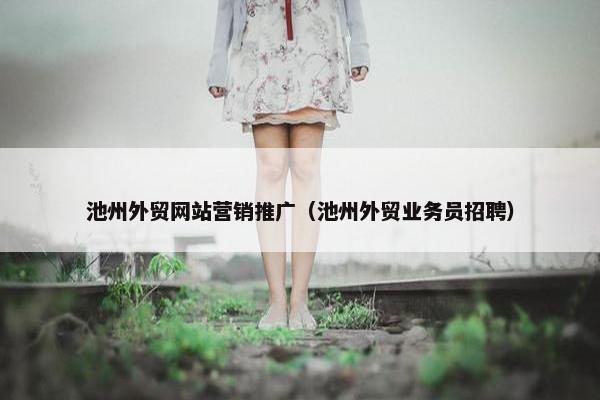 池州外贸网站营销推广（池州外贸业务员招聘）