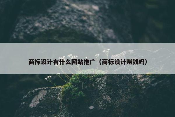 商标设计有什么网站推广（商标设计赚钱吗）