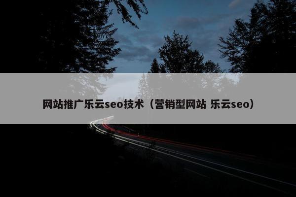 网站推广乐云seo技术（营销型网站 乐云seo）
