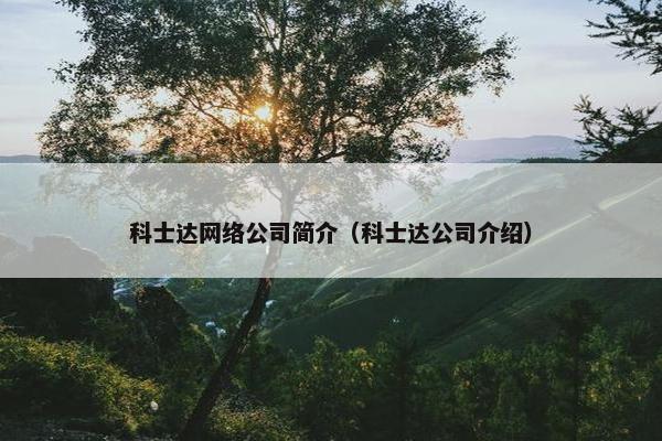 科士达网络公司简介（科士达公司介绍）