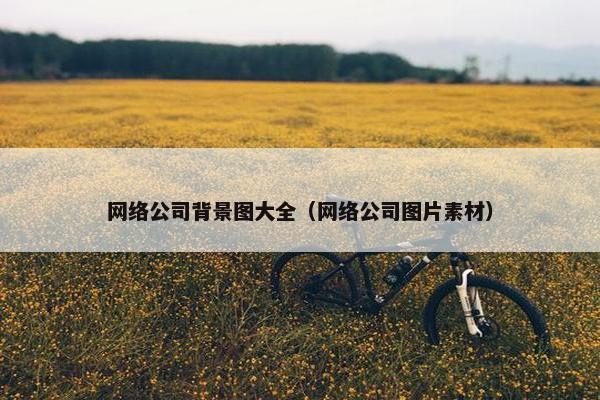 网络公司背景图大全（网络公司图片素材）
