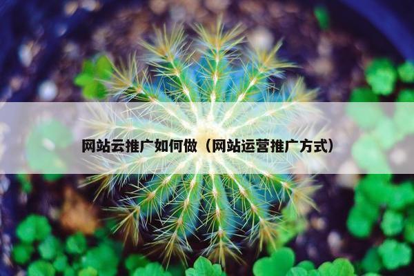 网站云推广如何做（网站运营推广方式）