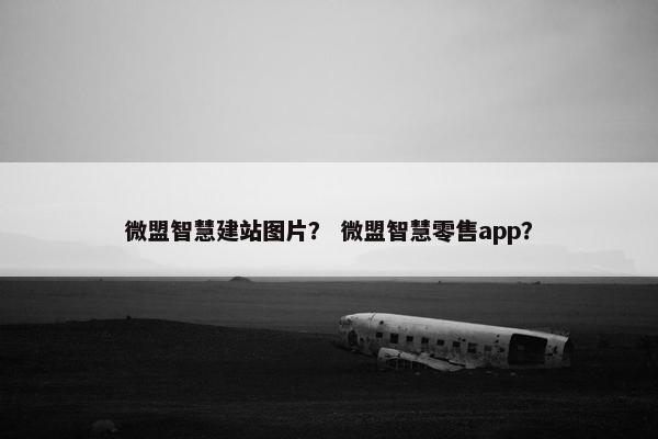 微盟智慧建站图片？ 微盟智慧零售app？