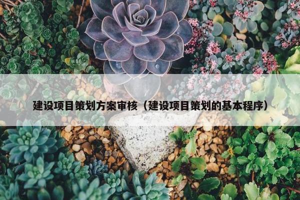 建设项目策划方案审核（建设项目策划的基本程序）