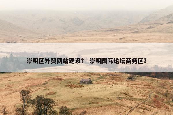 崇明区外贸网站建设？ 崇明国际论坛商务区？