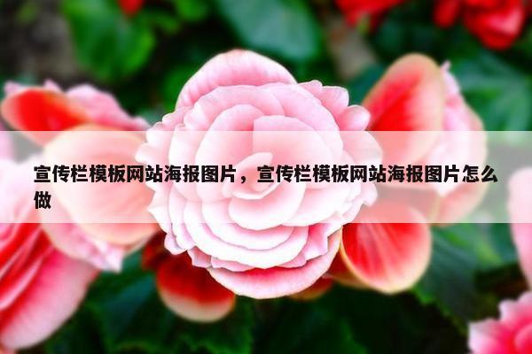 宣传栏模板网站海报图片，宣传栏模板网站海报图片怎么做