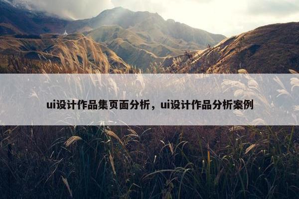ui设计作品集页面分析，ui设计作品分析案例