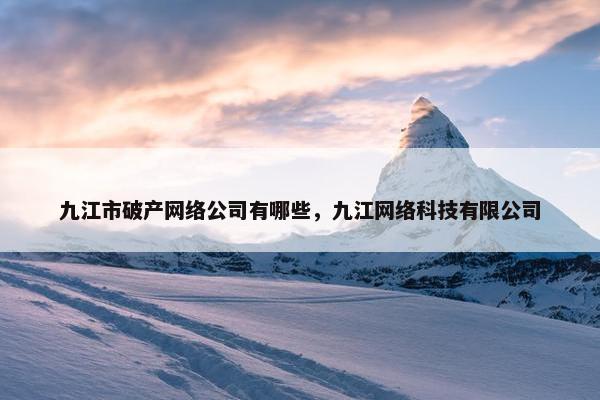 九江市破产网络公司有哪些，九江网络科技有限公司