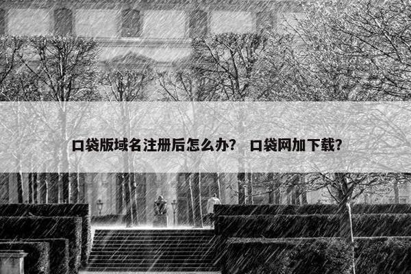口袋版域名注册后怎么办？ 口袋网加下载？