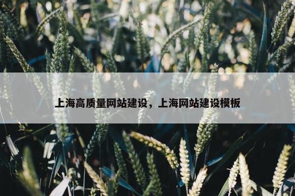 上海高质量网站建设，上海网站建设模板