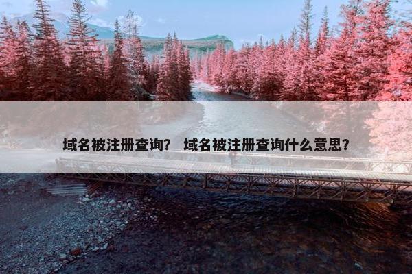 域名被注册查询？ 域名被注册查询什么意思？