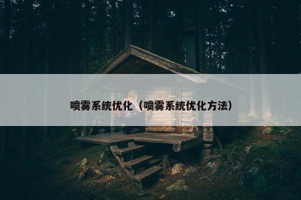 喷雾系统优化（喷雾系统优化方法）