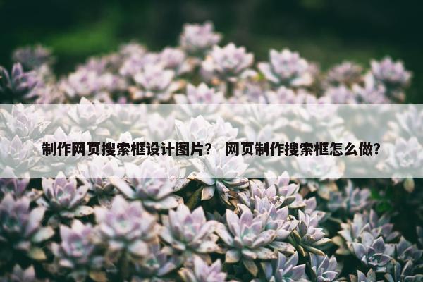 制作网页搜索框设计图片？ 网页制作搜索框怎么做？