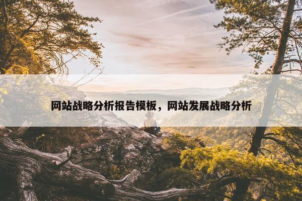 网站战略分析报告模板，网站发展战略分析