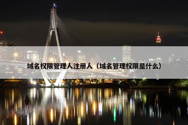 域名权限管理人注册人（域名管理权限是什么）