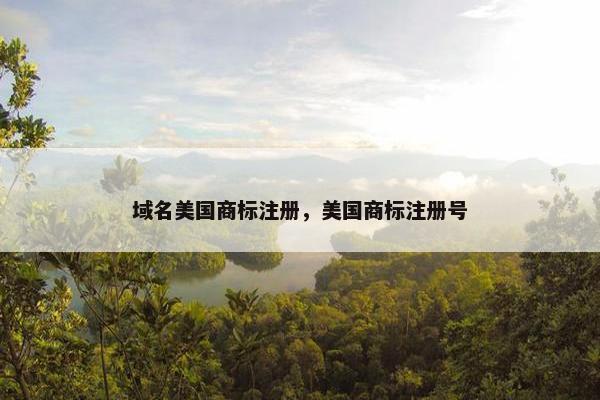 域名美国商标注册，美国商标注册号