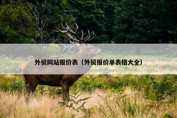 外贸网站报价表（外贸报价单表格大全）