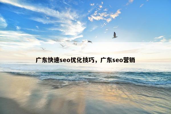 广东快速seo优化技巧，广东seo营销