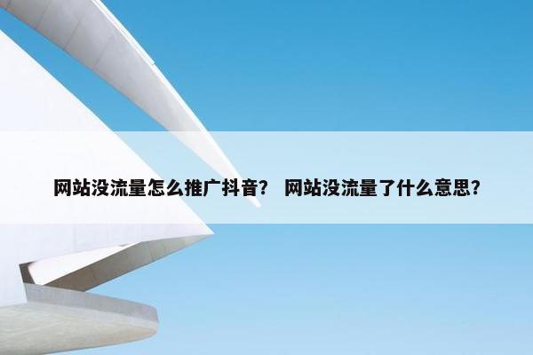 网站没流量怎么推广抖音？ 网站没流量了什么意思？