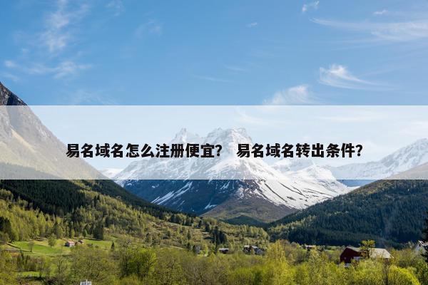 易名域名怎么注册便宜？ 易名域名转出条件？
