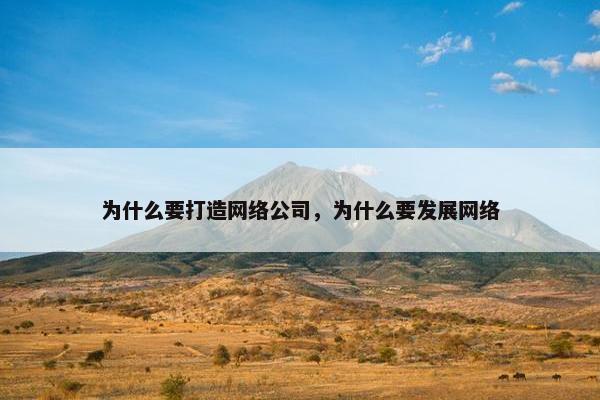 为什么要打造网络公司，为什么要发展网络
