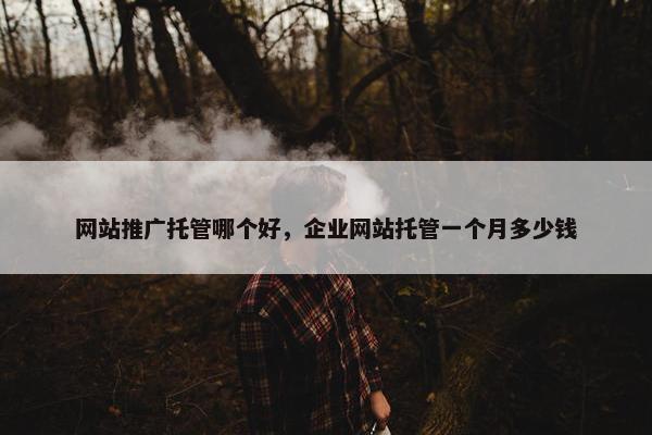 网站推广托管哪个好，企业网站托管一个月多少钱