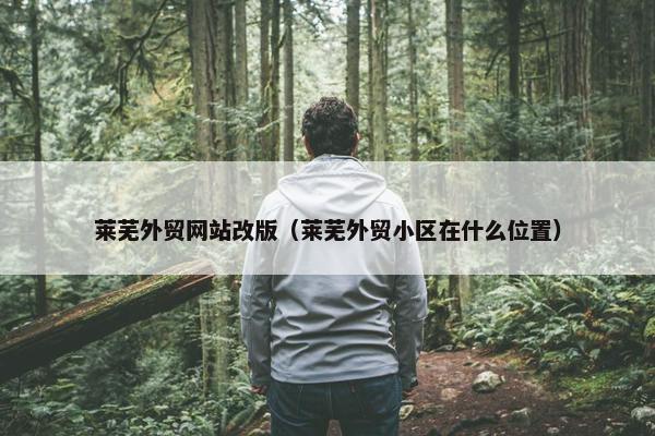 莱芜外贸网站改版（莱芜外贸小区在什么位置）