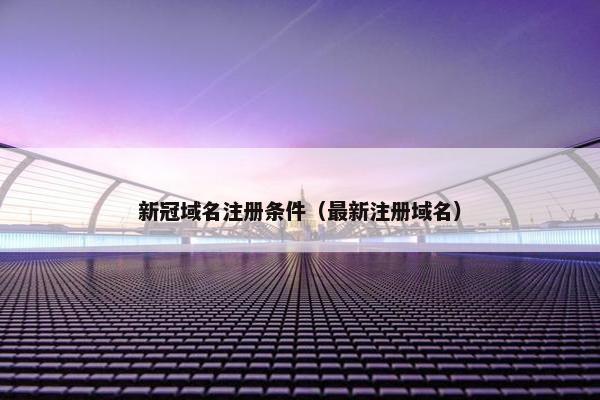 新冠域名注册条件（最新注册域名）