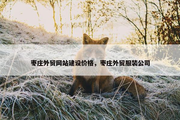枣庄外贸网站建设价格，枣庄外贸服装公司