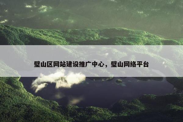 璧山区网站建设推广中心，璧山网络平台