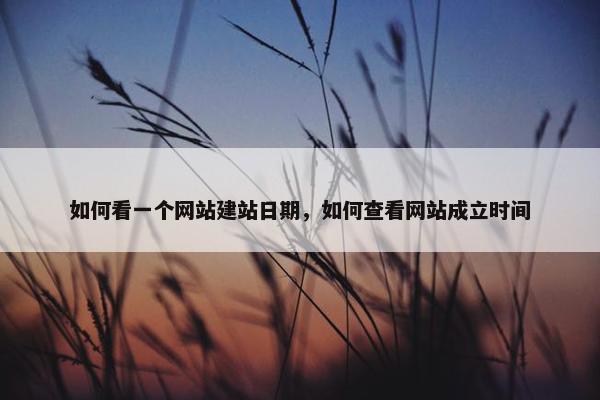 如何看一个网站建站日期，如何查看网站成立时间