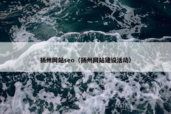 扬州网站seo（扬州网站建设活动）
